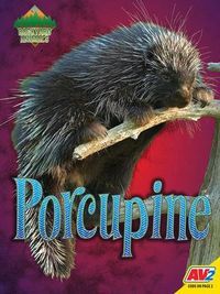 Produktbild: Porcupine