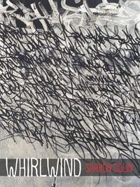 Produktbild: Whirlwind
