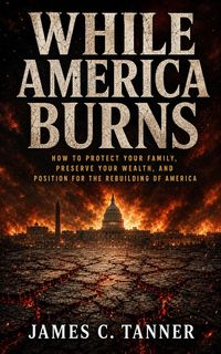 Produktbild: While America Burns