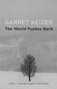 Produktbild: The World Pushes Back