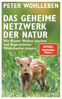 Bild vom Artikel Das geheime Netzwerk der Natur vom Autor Peter Wohlleben