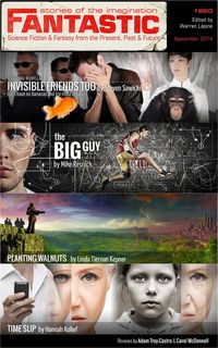 Produktbild: Fantastic Stories of the Imagination #220