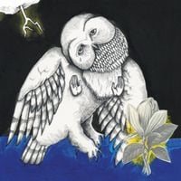 Produktbild: Magnolia Electric Co. (10TH Anniversary Deluxe Ed)