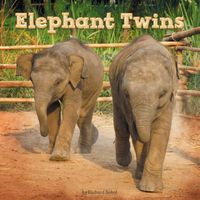 Produktbild: Elephant Twins