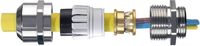 Produktbild: Wiska 10100963 Kabelverschraubung M75 Messing Messing 1 St.