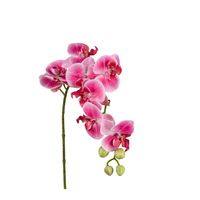 Bild vom Artikel Formano Orchideenzweig 80 cm Lila vom Autor 