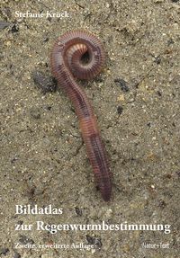 Produktbild: Bildatlas der Regenwurmbestimmung