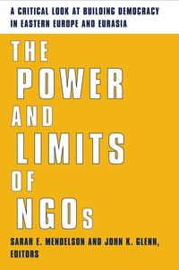 Produktbild: The Power and Limits of NGOs