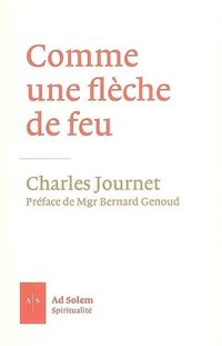 Produktbild: Comme une fl&egrave;che de feu