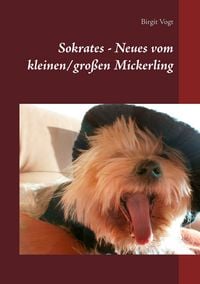 Produktbild: Sokrates - Neues vom kleinen/gro&szlig;en Mickerling