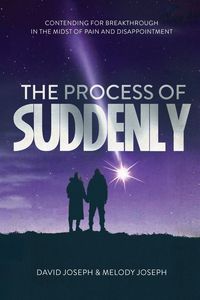 Produktbild: The Process of Suddenly