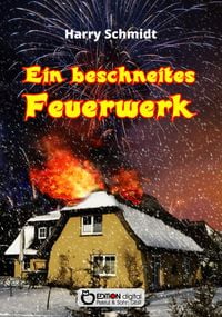 Produktbild: Ein beschneites Feuerwerk