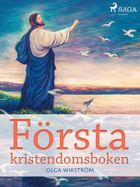 Produktbild: F&ouml;rsta kristendomsboken