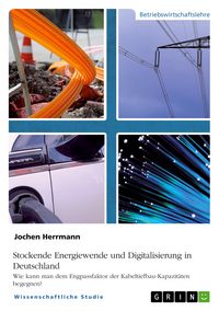 Produktbild: Stockende Energiewende und Digitalisierung in Deutschland