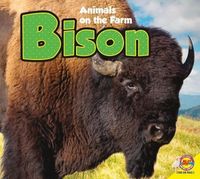 Produktbild: Bison