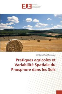Produktbild: Pratiques agricoles et Variabilit&eacute; Spatiale du Phosphore dans les Sols