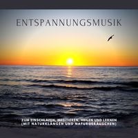 Produktbild: Traumhafte Entspannungsmusik mit Naturger&auml;uschen und Naturkl&auml;ngen in 432 Hz