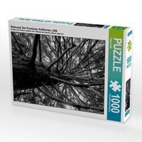 Produktbild: CALVENDO Puzzle Redwood, San Francisco, Kalifornien, USA | 1000 Teile Lege-Gr&ouml;&szlig;e 64x48cm Foto-Puzzle f&uuml;r gl&uuml;ckliche Stunden