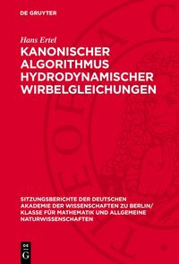 Produktbild: Kanonischer Algorithmus hydrodynamischer Wirbelgleichungen