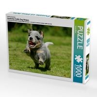 Produktbild: CALVENDO Puzzle Ein Motiv aus dem Kalender Australian Cattle Dog Welpen | 1000 Teile Lege-Gr&ouml;&szlig;e 64x48cm Foto-Puzzle f&uuml;r gl&uuml;ckliche Stunden