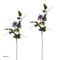 Produktbild: NTK-Collection Produkt 38827 Artikel 50179