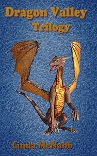 Produktbild: Dragon Valley Trilogy