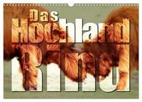 Produktbild: Das Hochlandrind (Wandkalender 2026 DIN A3 quer), CALVENDO Monatskalender