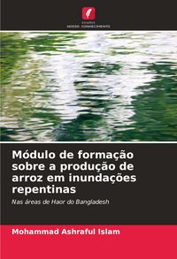 Produktbild: M&oacute;dulo de forma&ccedil;&atilde;o sobre a produ&ccedil;&atilde;o de arroz em inunda&ccedil;&otilde;es repentinas