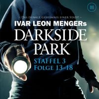 Produktbild: Staffel 3: Folge 13-18