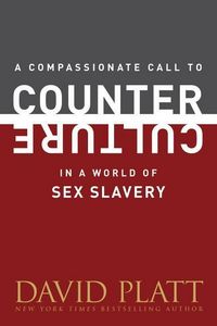 Produktbild: In a World Of Sex Slavery