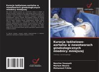 Produktbild: Kuracja l&iquest;d&iquest;wiowo-aortalna w nowotworach ginekologicznych miednicy mniejszej
