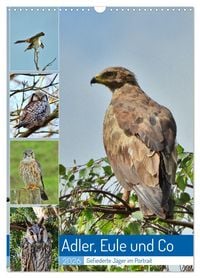 Produktbild: Adler, Eule und Co - Gefiederte J&auml;ger im Portrait (Wandkalender 2026 DIN A3 hoch), CALVENDO Monatskalender