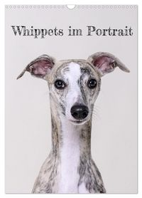 Produktbild: Whippets im Portrait (Wandkalender 2026 DIN A3 hoch), CALVENDO Monatskalender