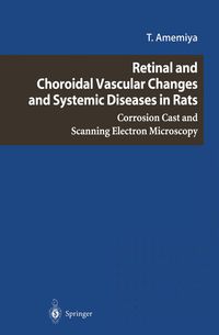 Produktbild: Retinal and Choroidal Vascular Changes and Systemic Diseases in Rats