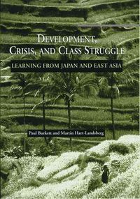 Produktbild: Development, Crisis and Class Struggle