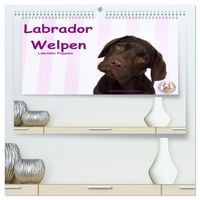 Produktbild: Labrador Welpen - Labrador Puppies (hochwertiger Premium Wandkalender 2026 DIN A2 quer), Kunstdruck in Hochglanz