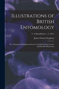 Produktbild: Illustrations of British Entomology; or, A Synopsis of Indigenous Insects: Containing Their Generic and Specific Distinctions; v. 8 (Mandibulata v. 4)
