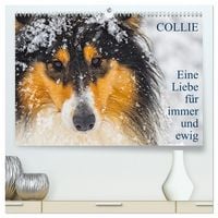Produktbild: Collies - Eine Liebe f&uuml;r immer und ewig (hochwertiger Premium Wandkalender 2026 DIN A2 quer), Kunstdruck in Hochglanz