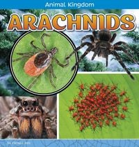 Produktbild: Arachnids