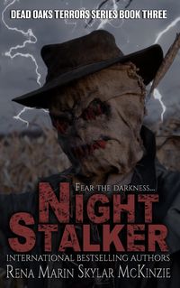 Produktbild: Night Stalker