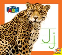 Produktbild: Jj