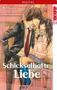 Produktbild: Schicksalhafte Liebe