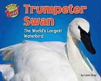 Produktbild: Trumpeter Swan