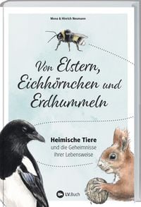 Bild vom Artikel Von Elstern, Eichhörnchen und Erdhummeln vom Autor Hinrich Neumann