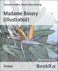 Produktbild: Madame Bovary (Illustrated)