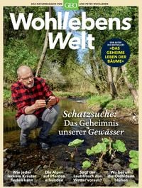 Produktbild: Wohllebens Welt / Wohllebens Welt 6/2020 - Schatzsuche: Das Geheimnis unserer Gew&auml;sser