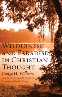 Produktbild: Wilderness and Paradise in Christian Thought