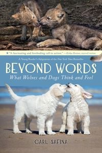 Produktbild: Beyond Words