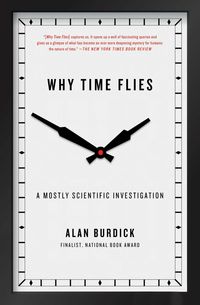 Produktbild: Why Time Flies