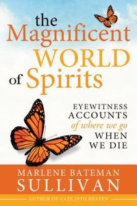 Produktbild: The Magnificent World of Spirits